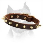 Multifunctional Spiked Leather Dog Collar For Amstaff