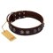"King Arthur" FDT Artisan Brown Leather Amstaff Collar with Spiky Plates