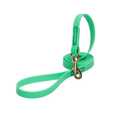 Green Waterproof Amstaff Leash Made of Biothane