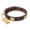 "Rich Fashion" FDT Artisan Decorated Leather Amstaff Collar with Plates and Studs