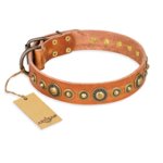 "Feast of Luxury" FDT Artisan Tan Leather Amstaff Collar with Old Bronze Look Circles