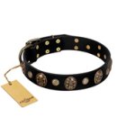 "Wild Spirit" FDT Artisan Black Leather Dog Collar with Gold-like Studs and Medallions with Skulls