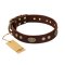 "Old-fashioned Glamor" FDT Artisan Brown Leather Amstaff Collar with Old Bronze Look Plates and Circles