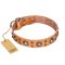 "Extra Sparkle" FDT Artisan Handcrafted Tan Leather Amstaff Collar