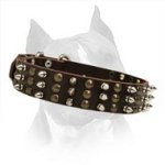 Amstaff Leather Dog Collar With Columns Of Spikes And Studs