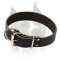 Safe Leather Dog Collar For Walking With Your Amstaff Dog