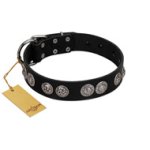 "Magic Amulete" Handcrafted FDT Artisan Black Leather Amstaff Collar with Chrome-Plated Shields