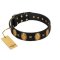 "Doggie Woggie" Designer Handmade FDT Artisan Black Leather Amstaff Collar with Ovals and Studs