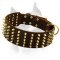 Handmade Brass Spiked Amstaff Leather Dog Collar