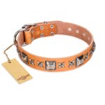 "Glamour Finery" FDT Artisan Female Amstaff collar of natural leather with stylish old-looking circles