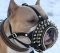 Our Best-Selling Royal Spiked Leather Dog Muzzle
