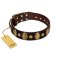 "Retro Pusle" FDT Artisan Brown Leather Amstaff Collar with Old Bronze-like Studs and Oval Brooches