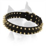 Stylish Spiked Leather Collar for Amstaff Dog Breed