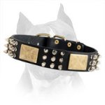 Amstaff Leather Dog Collar With Plates, Spikes And Studs