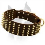 Handmade Brass Spiked Amstaff Leather Dog Collar