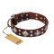"King of Grace" FDT Artisan Stylish Leather Amstaff Collar with Old Silver-Like Plated Decorations