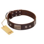"Stone Stars" Stylish Handmade FDT Artisan Brown Leather Amstaff Collar