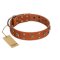 "Faraway Galaxy" FDT Artisan Tan Leather Amstaff Collar Adorned with Stars and Squares