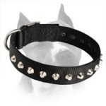 Amstaff Nylon Dog Collar With 1 Row Of Silver Plated Pyramids