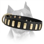 Fantastic Wide Leather Dog Collar With Plates