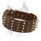 Topnotch Amstaff Spiked And Studded Leather Dog Collar