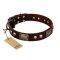 "Magic Amulet" Brown Leather Amstaff Collar with Skulls and Plates