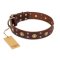 "Caprice of Fashion" FDT Artisan Brown Leather Amstaff Collar with Round Decorations