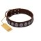 "Charming Circles" FDT Artisan Brown Leather Amstaff Collar with Silver-like Studs