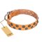 "Precious Sparkle" FDT Artisan Handcrafted Tan Leather Amstaff Collar