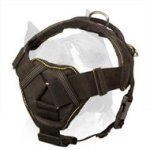 All Weather Amstaff Nylon Dog Harness