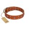 "Tawny Beauty" FDT Artisan Tan Leather Amstaff Collar Adorned with Stars and Tiny Squares