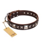 "Perfect Impression" FDT Artisan Brown Leather Amstaff Collar with Silvery Square Studs