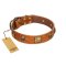 "Knights Templar" FDT Artisan Tan Leather Amstaff Collar with Skulls and Crossbones Combined with Squares