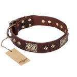 "Loving Owner" FDT Artisan Decorated Leather Amstaff Collar with Plates and Studs