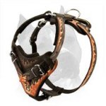 Extraordinary Blue Flame Painted Leather Amstaff Dog Harness