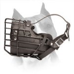 Rubber Covered Amstaff Wire Basket Dog Muzzle