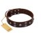 "Skull Valley" Handcrafted FDT Artisan Brown Leather Amstaff Collar with Skulls