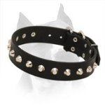 Elegant Studded Leather Collar for American Staffordshire Terrier