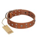 "Enchanted Skulls" FDT Artisan Tan Leather Amstaff Collar with Chrome Plated Skulls