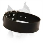 Extremely Wide All Weather Amstaff Dog Leather Collar