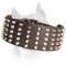 American Staffordshire Terrier Leather Dog Collar Studded