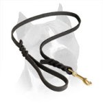 Leather Dog Leash For Walking And Tracking Activities With Your Amstaff