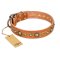 "Feast of Luxury" FDT Artisan Tan Leather Amstaff Collar with Old Bronze Look Circles
