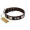 "Baller Status" FDT Artisan Brown Leather Amstaff Collar Adorned with a Set of Chrome Plated Studs and Plates