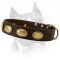 High Quality Amstaff Leather Dog Collar With Oval Vintage Plates