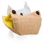 Primary Amstaff Puppy Bite Builder Made of Jute
