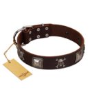 "Nut-Brown Finery" Embellished FDT Artisan Brown Leather Amstaff Collar with Chrome Plated Crossbones and Plates