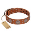 "Sun Rise Noon" FDT Artisan Tan Leather Amstaff Collar with Unique Design