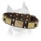 Fantastically Decorated With Plates And Cones Leather Dog Collar For Amstaff Dog Breed