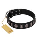 "Silver Spikes" Exclusive FDT Artisan Black Leather Amstaff Collar